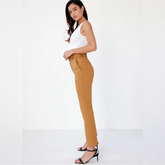 Aritzia Babaton Zayden Pant - Picture 5 of 7